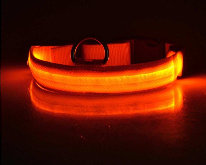 orange LED-belyst säkerhetshalsband för hundar