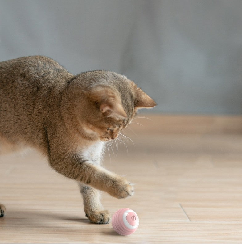 Automatisk Rullande Boll för katt