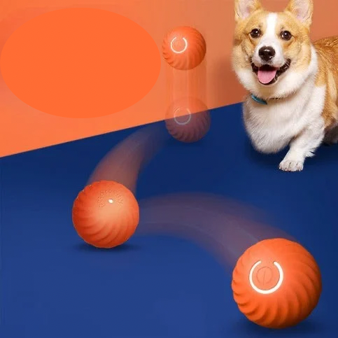 Självlekande boll för hund orange