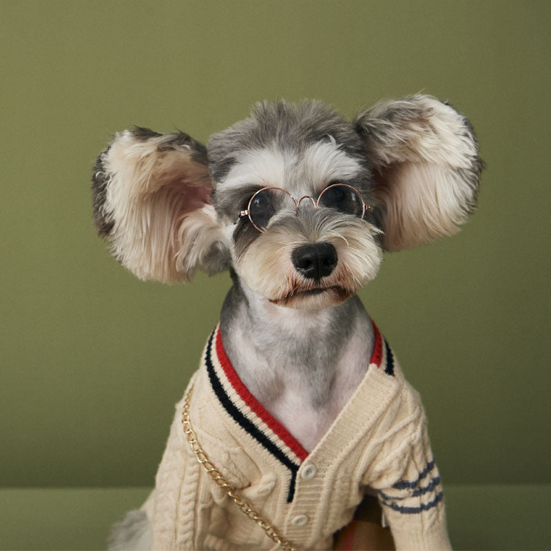 Doggy cardigan ull